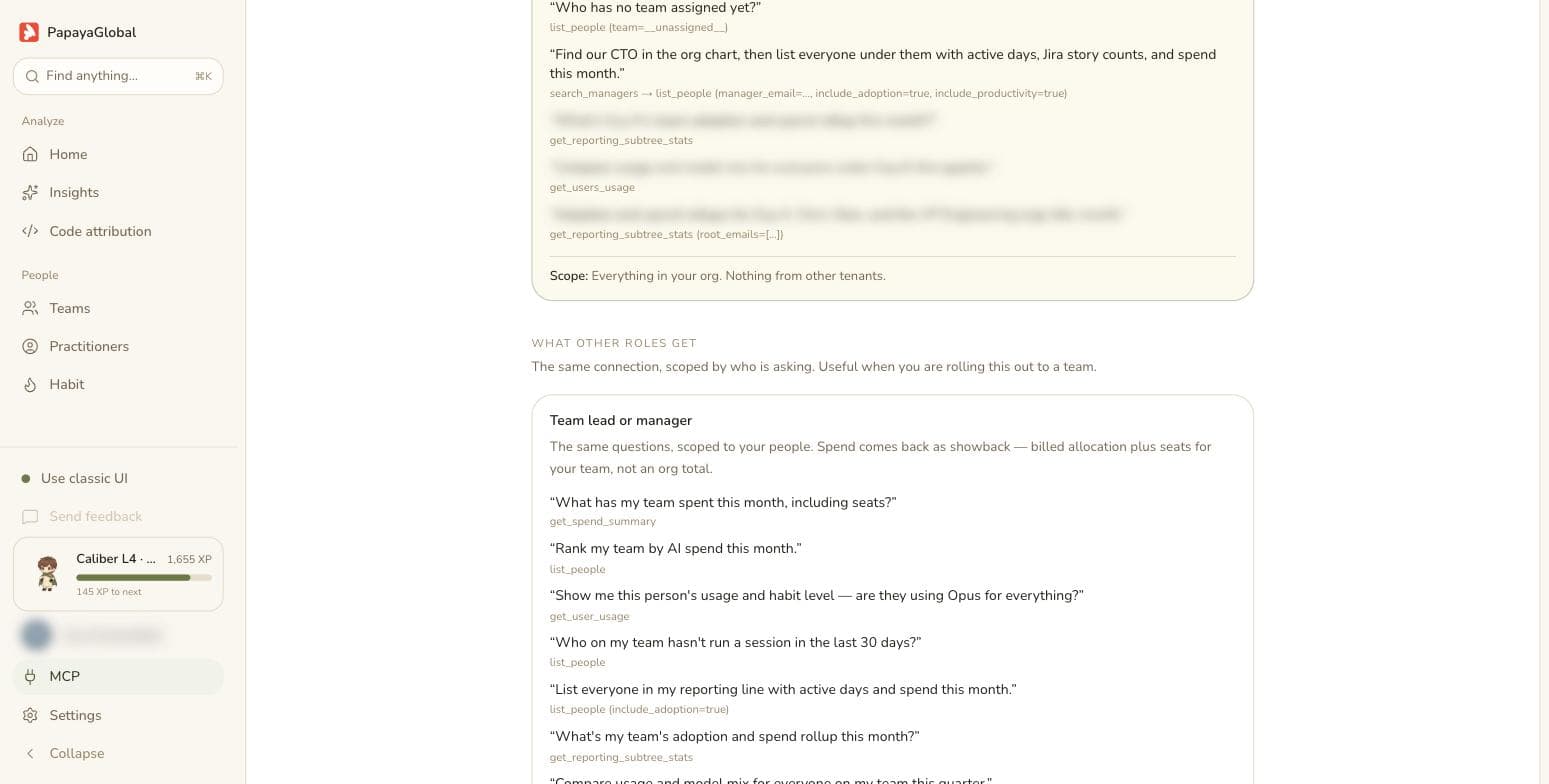 MCP, by role: What a lead or a person may ask.